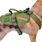 365 Dog Harness by Bullrun - Tactical Harness with Removable Vest