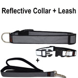 Custom dog Collars Personalized Embroidered dog collars with Name 1 inch Reflective with leash