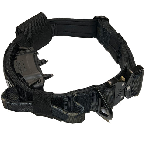 Tactical E collar for Dog Training systems with personalized