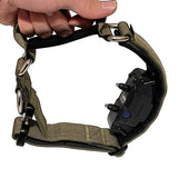 bungee-e-collar-with-quick-release-buckle-handle-and-custom-patch