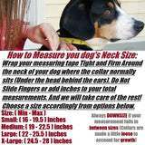 BullRun K9 TitanFlex E-Collar Strap – Heavy-Duty Elastic Bungee Strap with Quick-Release Buckle & Handle