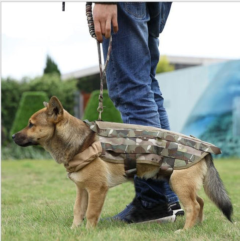 Military Dog Harness & Tactical Collar & Bungee Leash set Heavy Duty  Training