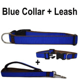 Custom dog Collars Personalized Embroidered dog collars with Name 1 inch Blue with leash