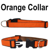 Custom dog Collars Personalized Embroidered dog collars with Name 1 inch Orange 