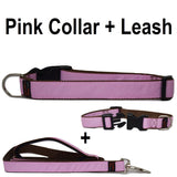 Custom dog Collars Personalized Embroidered dog collars with Name 1 inch  Pink with leash